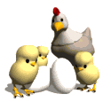 :chick-family: