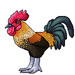 :hen: