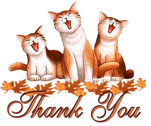 :tycats: