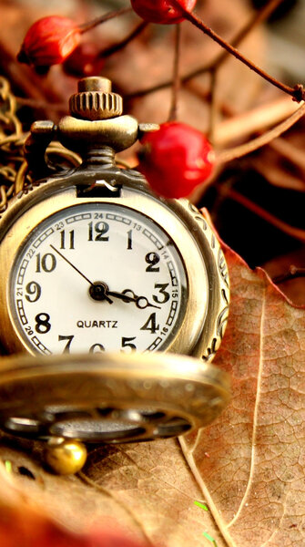 Beautiful Vintage Watch