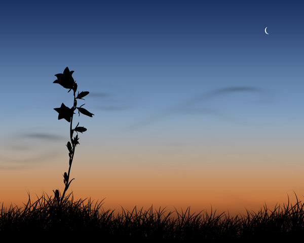 Flower with new moon