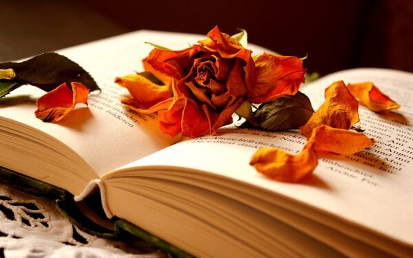 Autumn flowers In A book Of memories