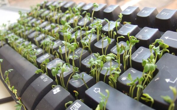 Keyboard garden funny abstract wallpaper