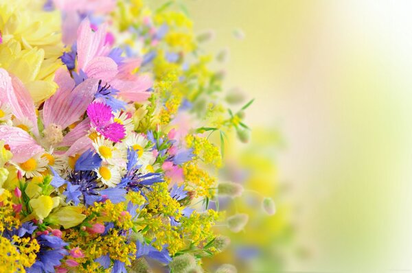 pretty flowers wallpaper