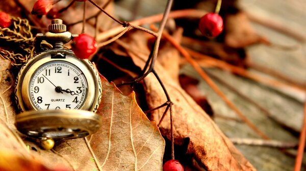 beautiful vintage watch