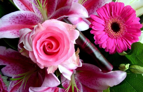 beautiful flower pictures