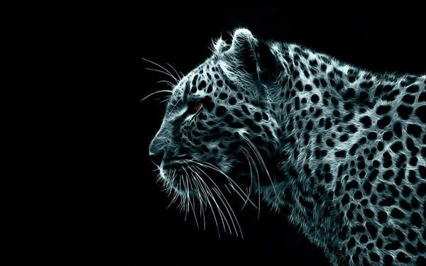 Wild cat wallpaper