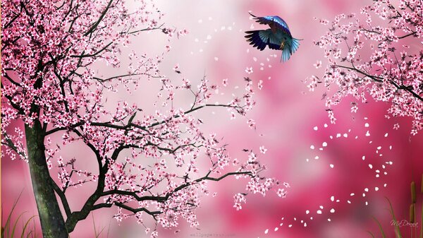 sakura pink abstract blossoms cherry firefox persona flowers japanese pink spring