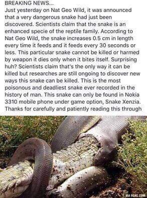 Dangerous snake of 3310