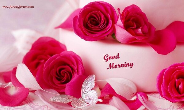 Romantic Roses good morning Hd wallpapers