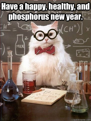 chemistry Cat happy New year funny Cat meme
