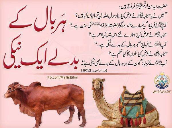 Her baal badle aik naiki eid mubarik 2015