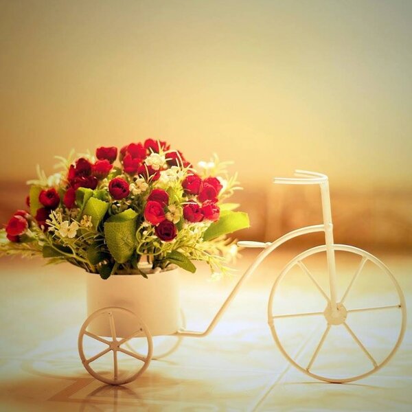 flowers wallpaper