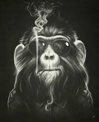 smoking monkey