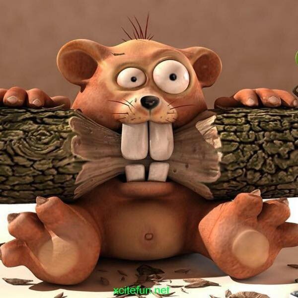 woody