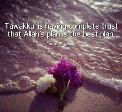 Best plan....