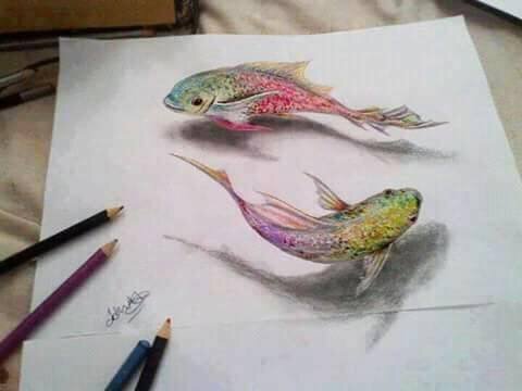 pisces fishes