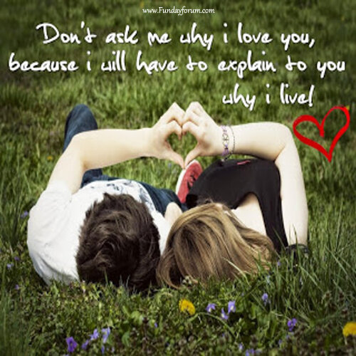 dont Ask Me Why I love U