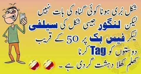 Langoor jesi shakal