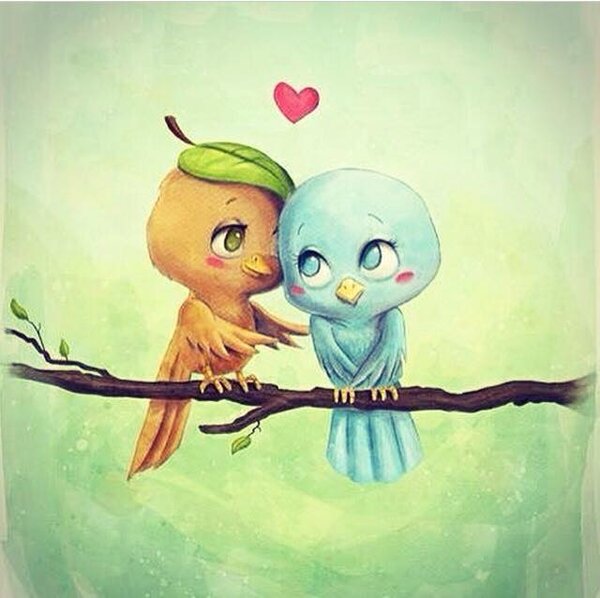 love birds