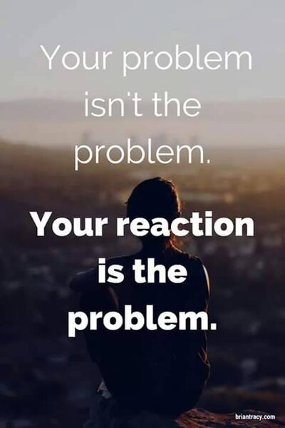 reaction