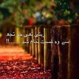 tamaam shooudh......