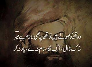 wo tuj ko bhole hain tu tujh per b lazim hai meer