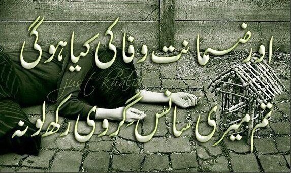 Zamanat wafa ki kaya hugi best urdu poetry