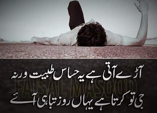FB IMG 1438854426167