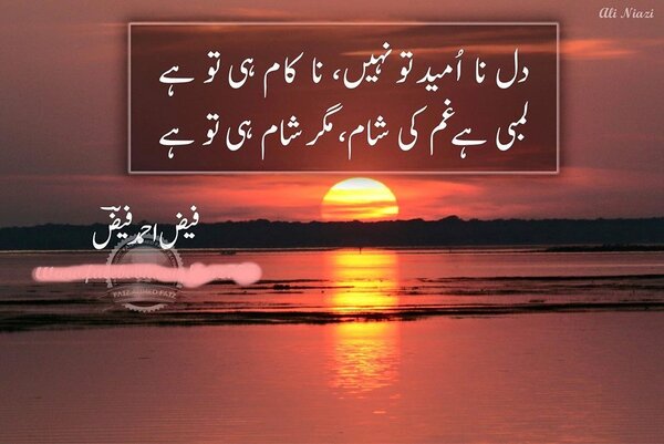 dil na umeed