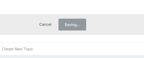 More information about "Prevent double submission"