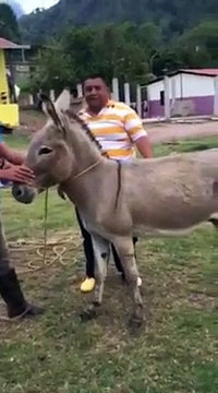 56b387cd2b79b_insaanorgadha.jpg.acee2366