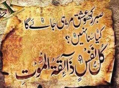 saber rakho ishq mar hi jayega