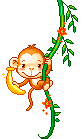 monkbanana.gif