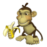 monkeat.gif