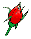 redrose.gif