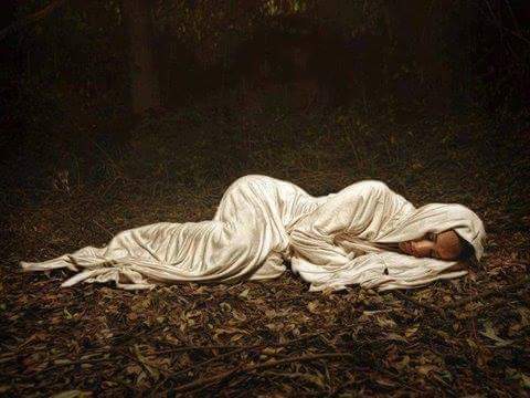 10312601_1769617029936895_85306462807650