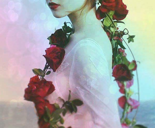 11701075_1767910160107582_90032589283610