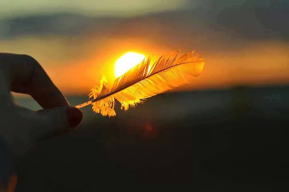 12510483_1704827273065521_27571594413008