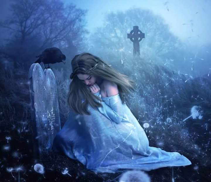 12799096_1765334587031806_54189506350354