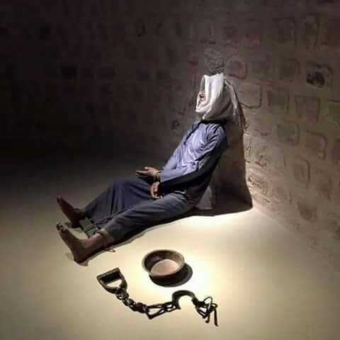 12805717_572142129602364_855646985595710