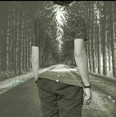 1530457_1771971576368107_742775912777895