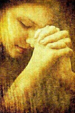 1947680_1734854283411701_206269116867670