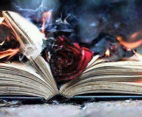 FB_IMG_14537532040308169.jpg.7bc5dea170a