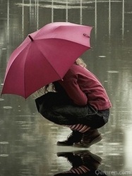 _9857699.jpg.fdd658d30c0c6a0dccb8f75070c