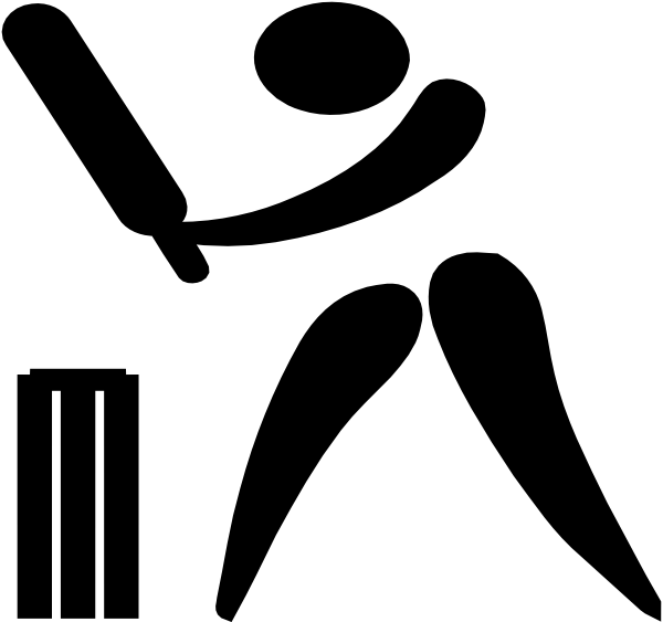 cricket-hi.png.808daa09c5e564dfe1f48b9eb