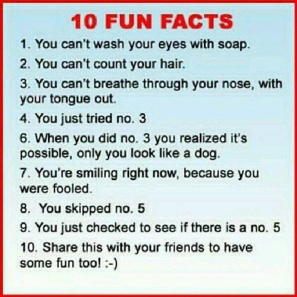10 fun facts