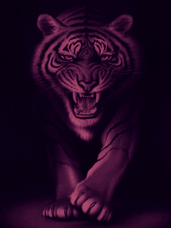 tiger avatar animated