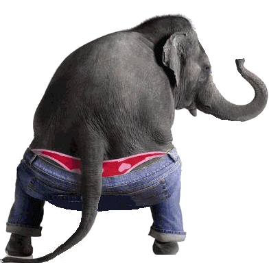 Elephant dance