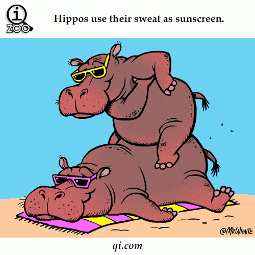 animal-facts-in-funny-animations